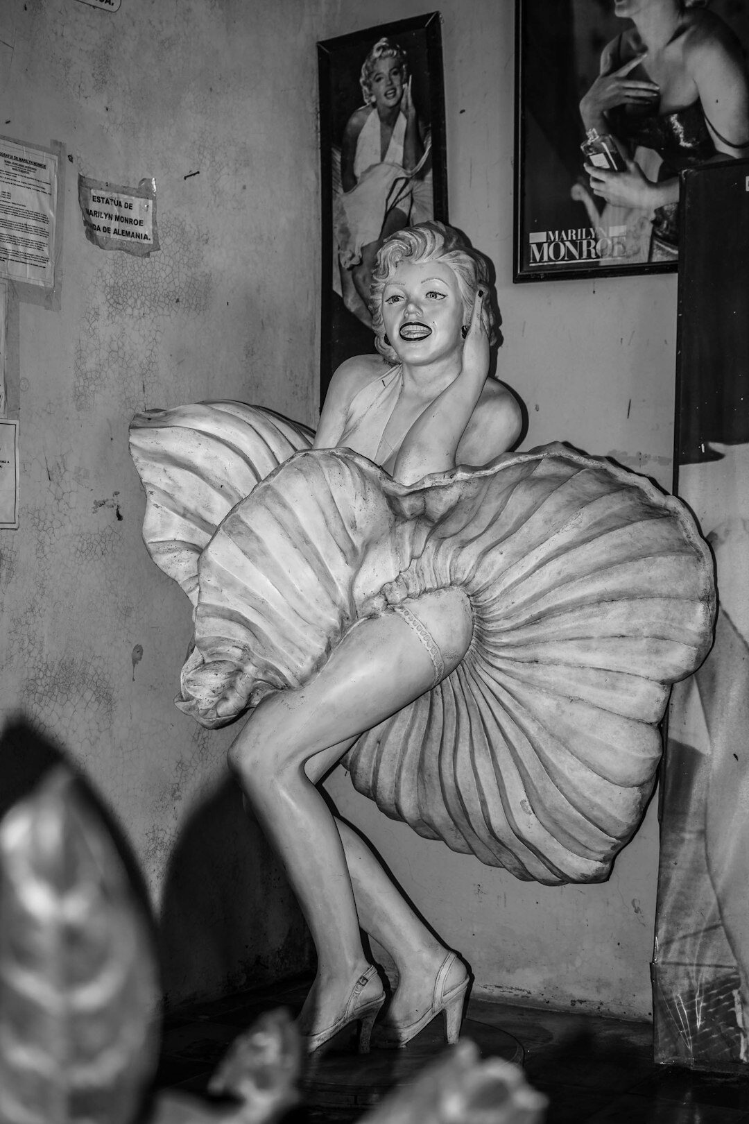 uruguayan celebrity portrait